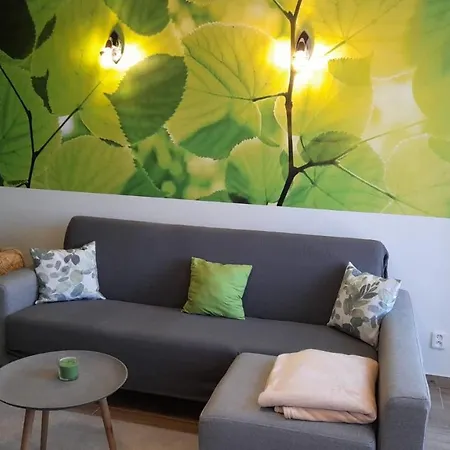 Dum Jenisov Apartment *